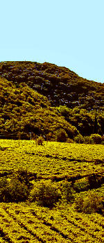 Negrar di Valpolicella